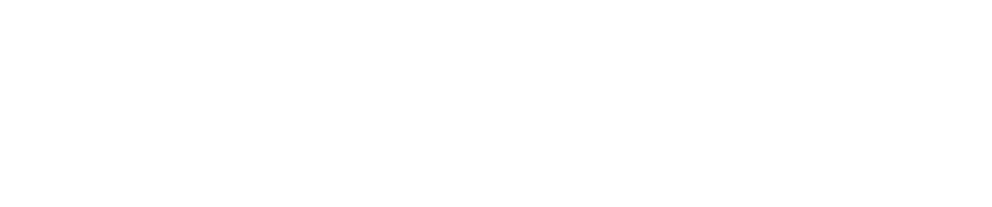 Tangram Vision